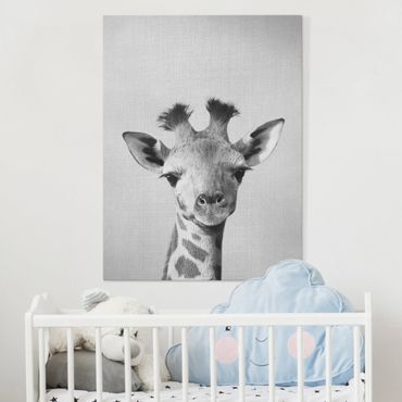 Obraz na płótnie - Baby Giraffe Gandalf Black And White - Format pionowy 3:4