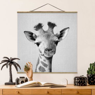 Plakat z wieszakiem - Baby Giraffe Gandalf Black And White - Kwadrat 1:1