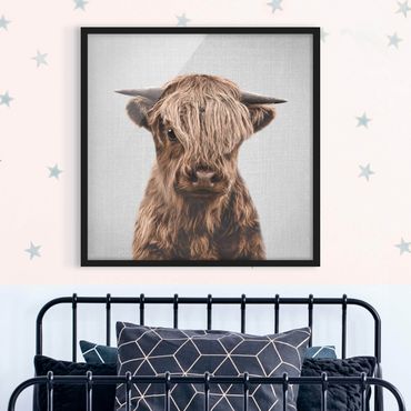 Obraz w ramie - Baby Highland Cow Henri