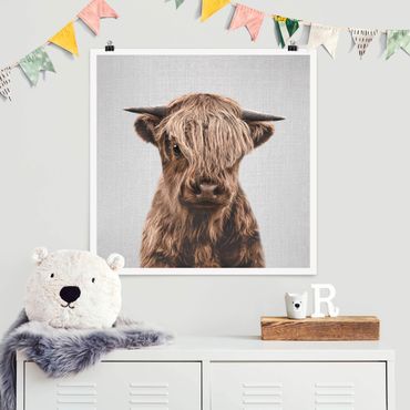 Plakat reprodukcja obrazu - Baby Highland Cow Henri