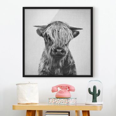 Obraz w ramie - Baby Highland Cow Henri Black And White