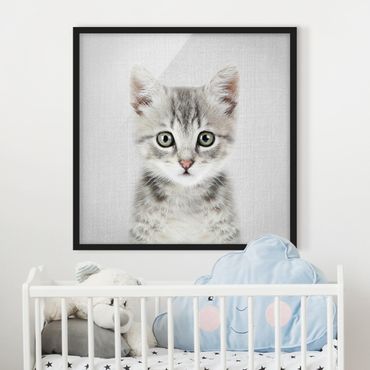 Obraz w ramie - Baby Cat Killi