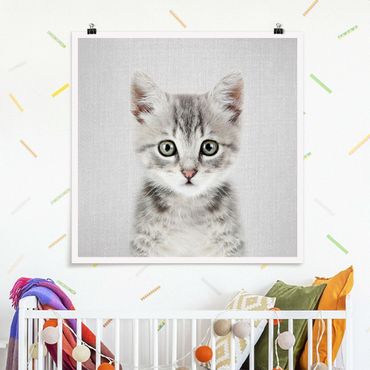 Plakat reprodukcja obrazu - Baby Cat Killi