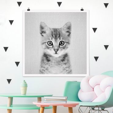 Plakat reprodukcja obrazu - Baby Cat Killi Black And White