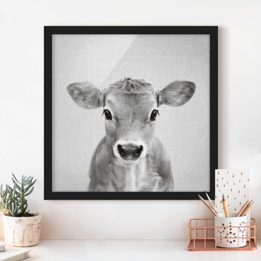 Obraz w ramie - Baby Cow Kira Black And White