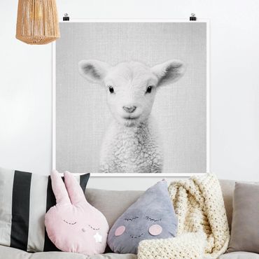 Plakat reprodukcja obrazu - Baby Lamb Lina Black And White