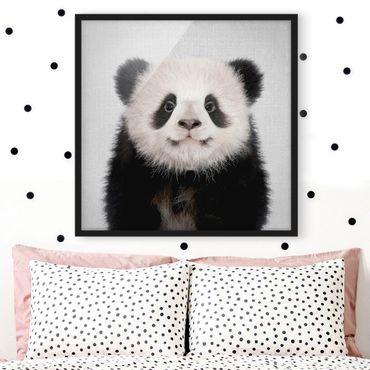 Obraz w ramie - Baby Panda Prian