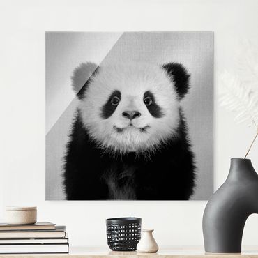 Obraz na szkle - Baby Panda Prian Black And White