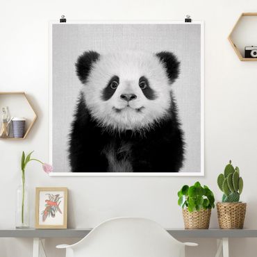 Plakat reprodukcja obrazu - Baby Panda Prian Black And White