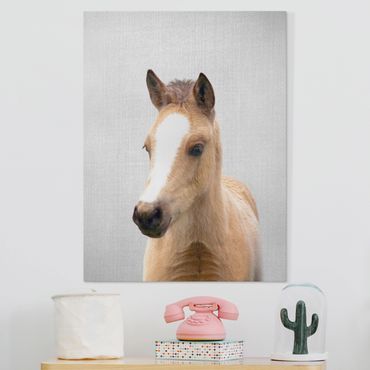 Obraz na płótnie - Baby Horse Philipp - Format pionowy 3:4