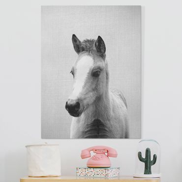 Obraz na płótnie - Baby Horse Philipp Black And White - Format pionowy 3:4