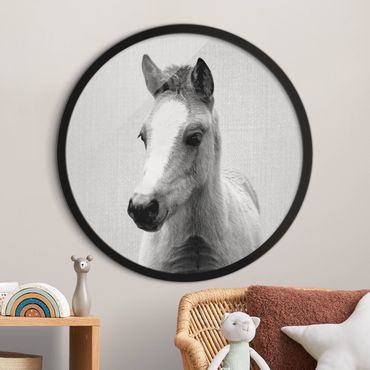 Okrągły obraz z ramką - Mały koń Philip czarno-biały