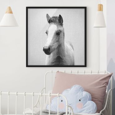Obraz w ramie - Baby Horse Philipp Black And White