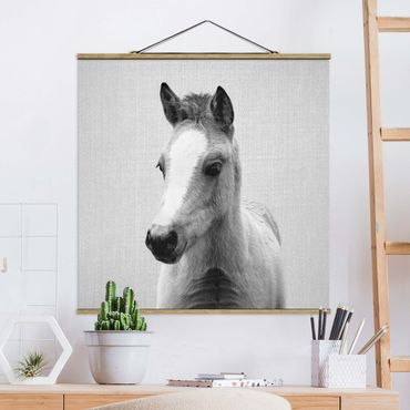 Plakat z wieszakiem - Baby Horse Philipp Black And White - Kwadrat 1:1