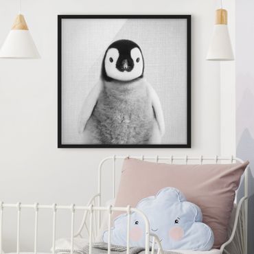 Obraz w ramie - Baby Penguin Pepe Black And White