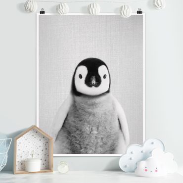 Plakat reprodukcja obrazu - Baby Penguin Pepe Black And White
