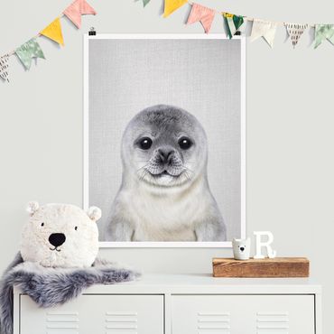 Plakat reprodukcja obrazu - Baby Seal Ronny