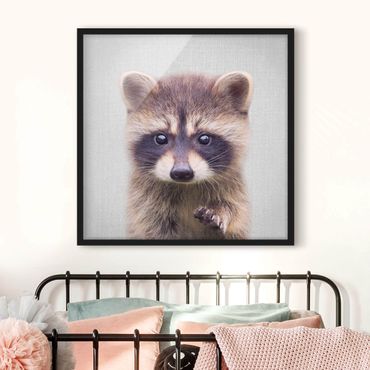 Obraz w ramie - Baby Raccoon Wicky