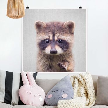 Plakat reprodukcja obrazu - Baby Raccoon Wicky