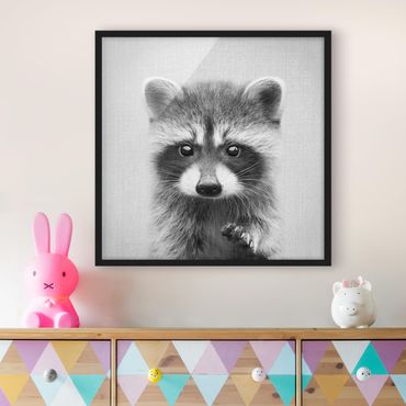 Obraz w ramie - Baby Raccoon Wicky Black And White