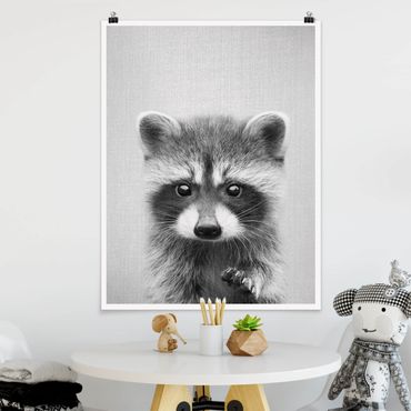 Plakat reprodukcja obrazu - Baby Raccoon Wicky Black And White