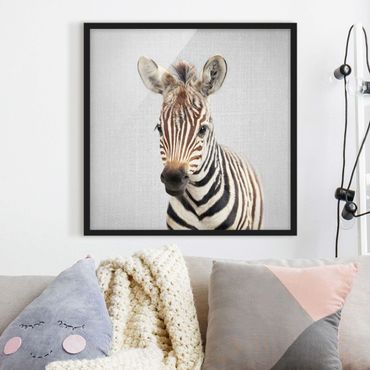 Obraz w ramie - Baby Zebra Zoey