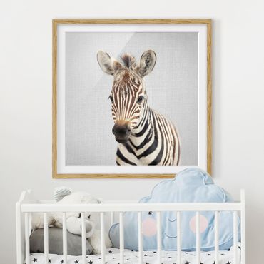 Obraz w ramie - Baby Zebra Zoey