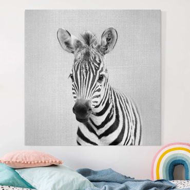 Obraz na płótnie - Baby Zebra Zoey Black And White - Kwadrat 1:1