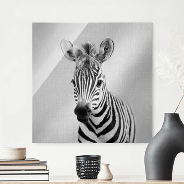 Obraz na szkle - Baby Zebra Zoey Black And White