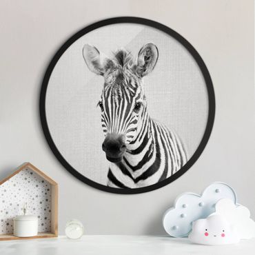 Okrągły obraz z ramką - Mała zebra Zoey czarno-biały