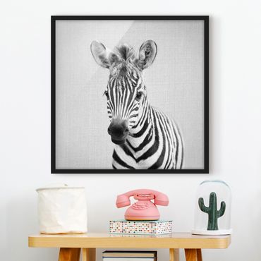 Obraz w ramie - Baby Zebra Zoey Black And White