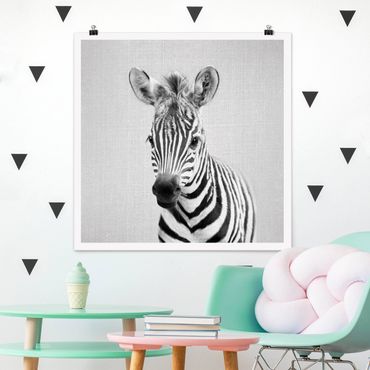 Plakat reprodukcja obrazu - Baby Zebra Zoey Black And White