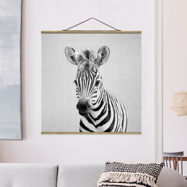 Plakat z wieszakiem - Baby Zebra Zoey Black And White - Kwadrat 1:1