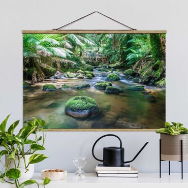Plakat z wieszakiem - Potok w dżungli