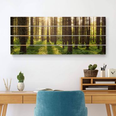 Obraz z drewna - Promienie słońca w zielonym lesie