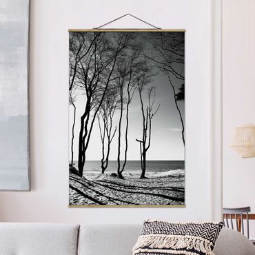 Plakat z wieszakiem - Drzewa nad Morzem Bałtyckim