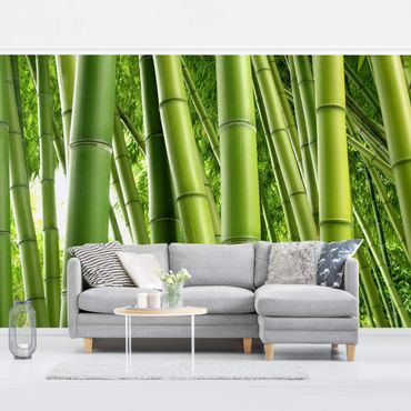 Fototapeta - Drzewa bambusowe