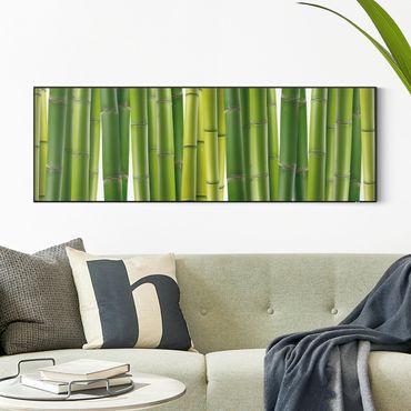 Wymienny obraz - Rośliny bambusowe