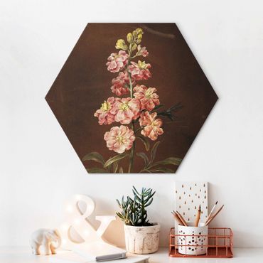Obraz heksagonalny Alu-Dibond - Barbara Regina Dietzsch - A Light Pink Gillyflower
