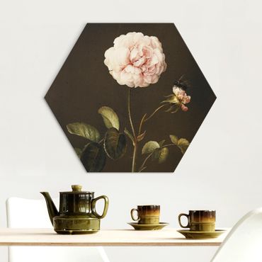 Obraz heksagonalny Alu-Dibond - Barbara Regina Dietzsch - French Rose with Bumblebee