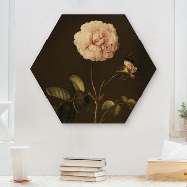 Obraz heksagonalny z drewna - Barbara Regina Dietzsch - French Rose with Bumblebee