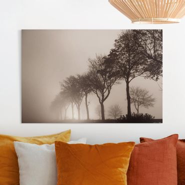 Obraz na płótnie - Aleja drzew w porannej mgle