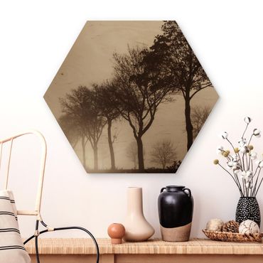Obraz heksagonalny z drewna - Aleja drzew w porannej mgle