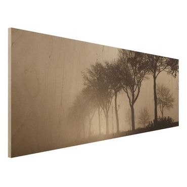Obraz z drewna - Aleja drzew w porannej mgle