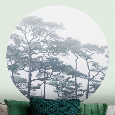 Okrągła tapeta samoprzylepna - Wierzchołki drzew we mgle