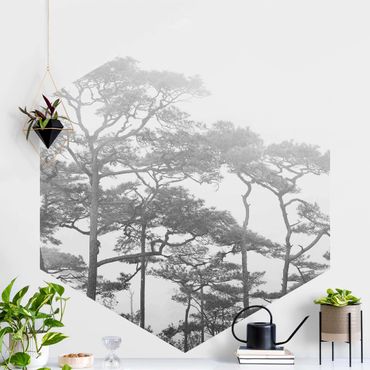 Sześciokątna tapeta samoprzylepna - Trzy wierzchołki drzew we mgle czarno-biały