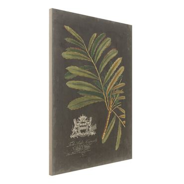 Obraz z drewna - Vintage Królewskie liście na czarnym tle II