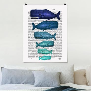 Plakat - Czytanie o zwierzętach - Rodzina wielorybów