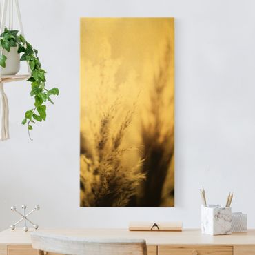 Złoty obraz na płótnie - Trawa pampasowa w cieniu