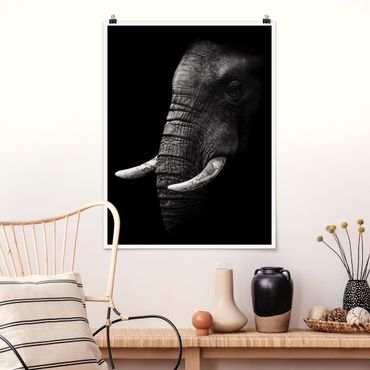 Plakat - Portret ciemnego słonia